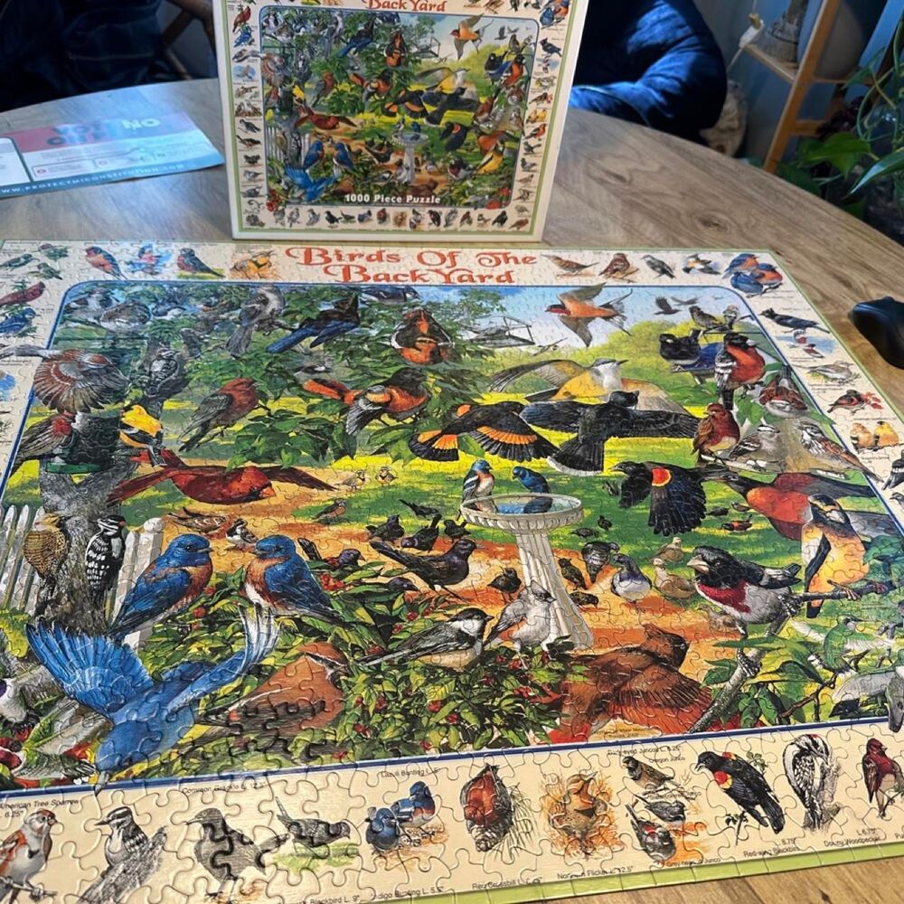White Mountain Birds of the Backyard 1000 piece Puzzle complete